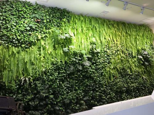 植物養(yǎng)護(hù)