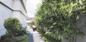 景觀設計公司介紹庭院空間應如何規(guī)劃