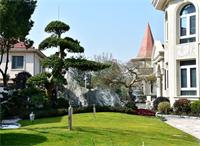 打造別墅花園設(shè)計園林景觀的訣竅